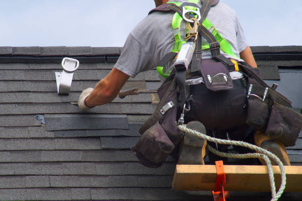 Roof Gutter Cleaning in Osakis, MN